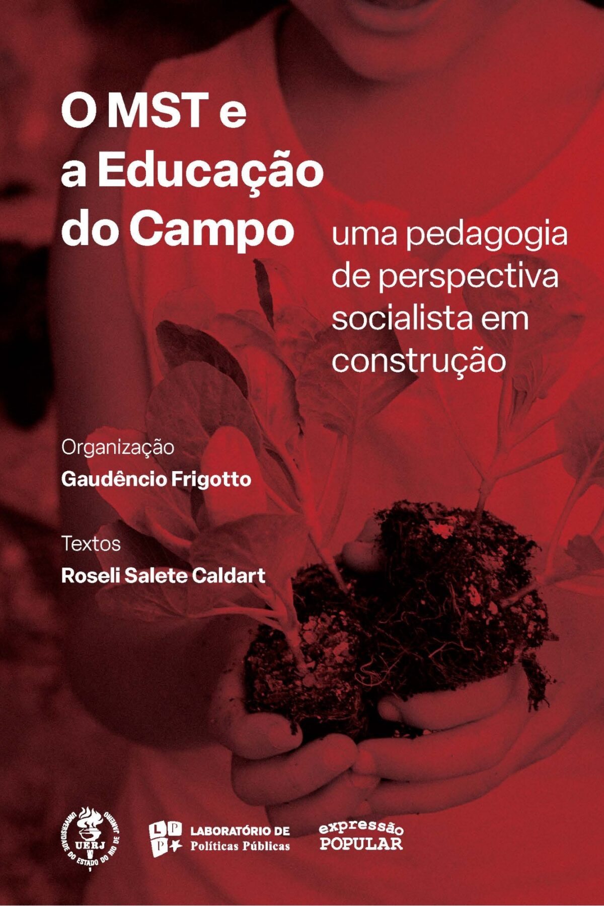 PADRONIZACAO-CAPA-SITE-60