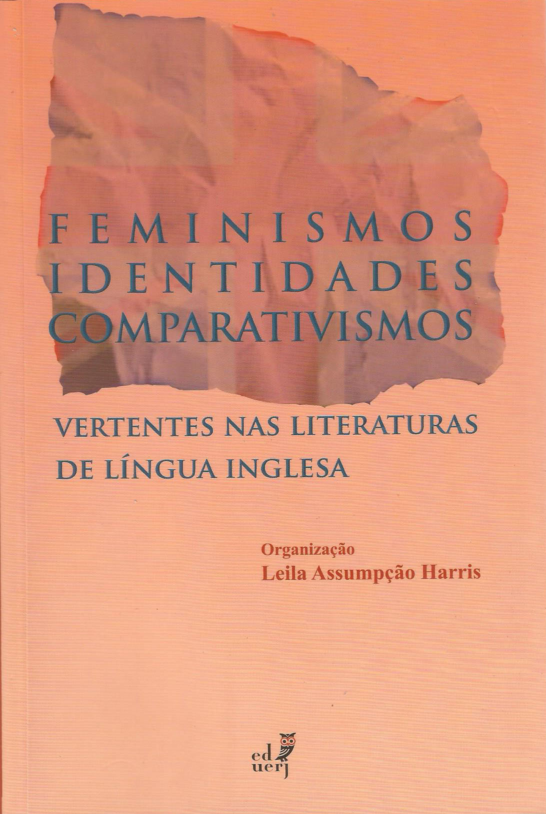 Introdução às literaturas de língua inglesa